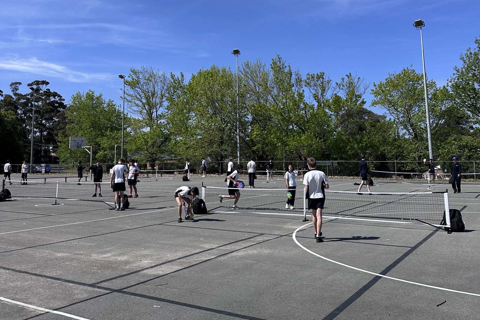 Pickleball nets set up across the courts at Killarney Heights High School